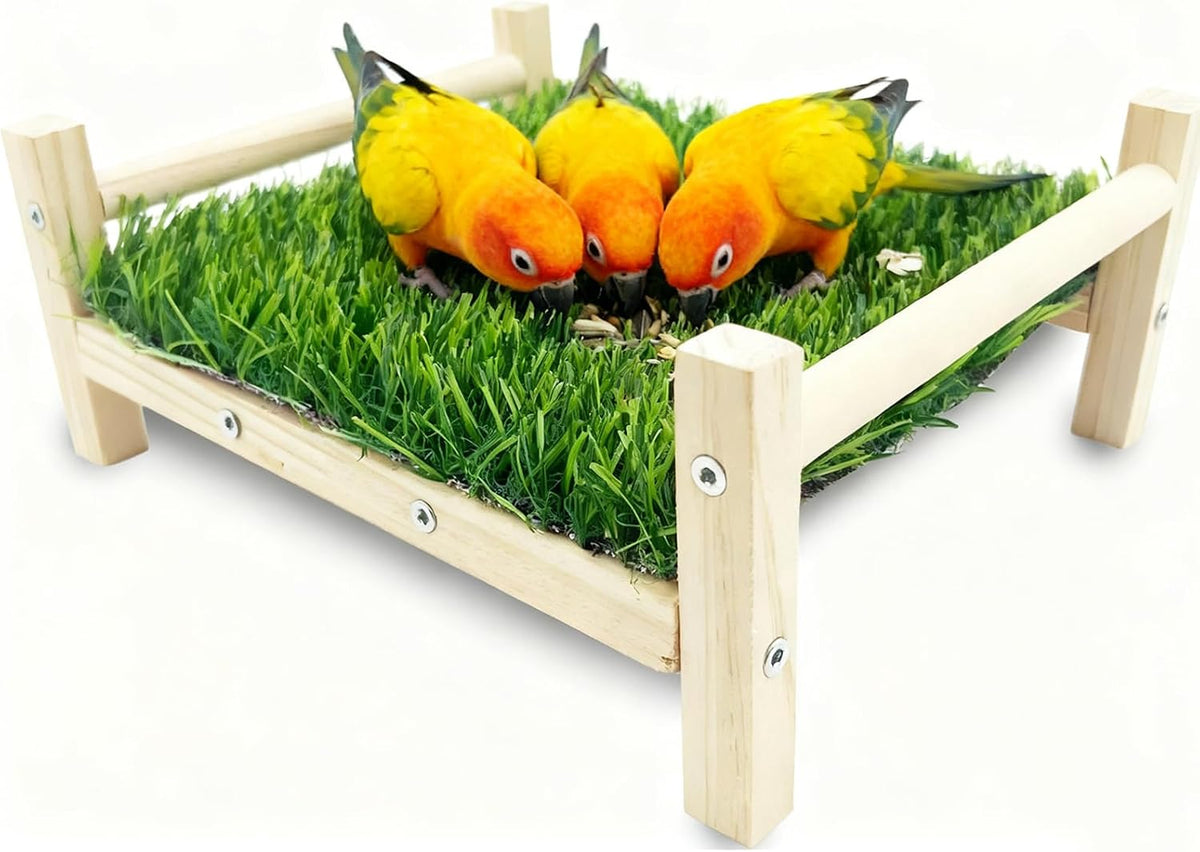 Delight Your Feathered Friends with the Ultimate Bird Foraging Toy Bed – Perfect for Parakeets, Cockatiels, and Lovebirds!