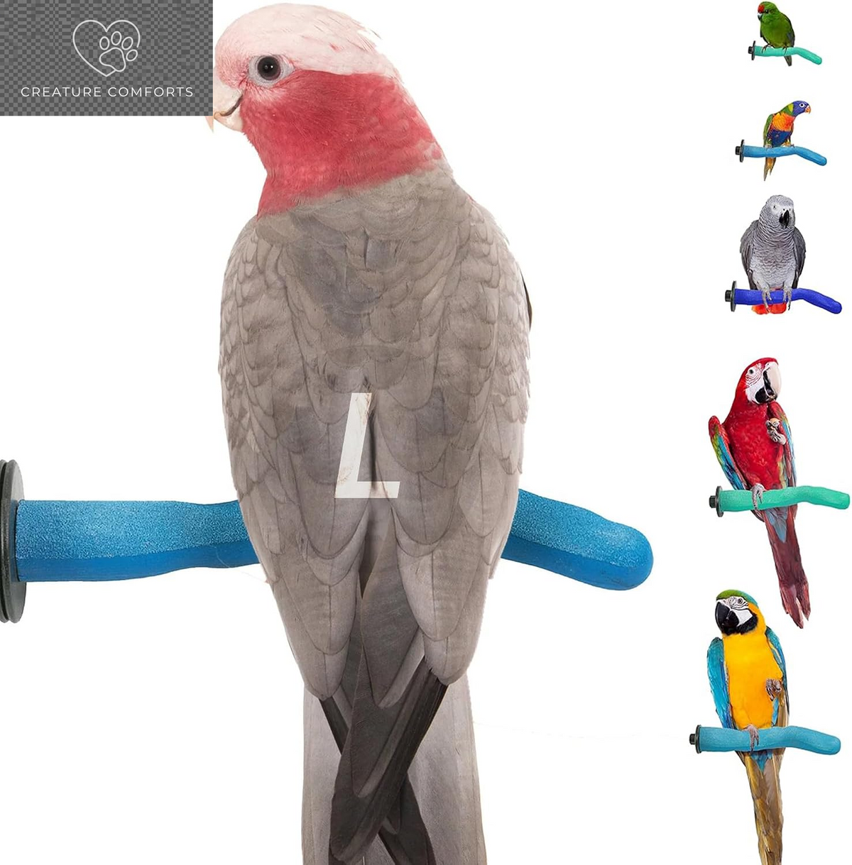 Sweet Feet and Beak Safety Pumice Bird Perch, X-Large Pedicure Perch, Green | Plastic Bird Nail Trimming Perch, Pumice Coated Surface for Healthy Feet and Beak, 13.5" Perch, Available in 5 Sizes