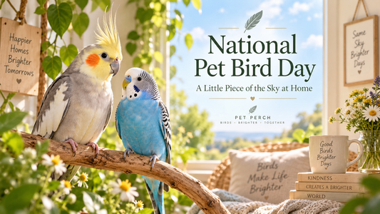 National Pet Bird Day — September 17,