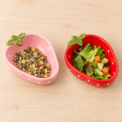 2 Packs Strawberry Ceramic Hamtser Food Bowls Wet&Dry Use(Pink+Red)