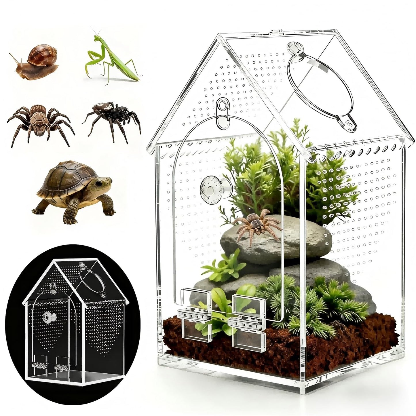 Jumping Spider Enclosure Kit Preassembled 8X5X5 Inch Acrylic Tarantula Tank