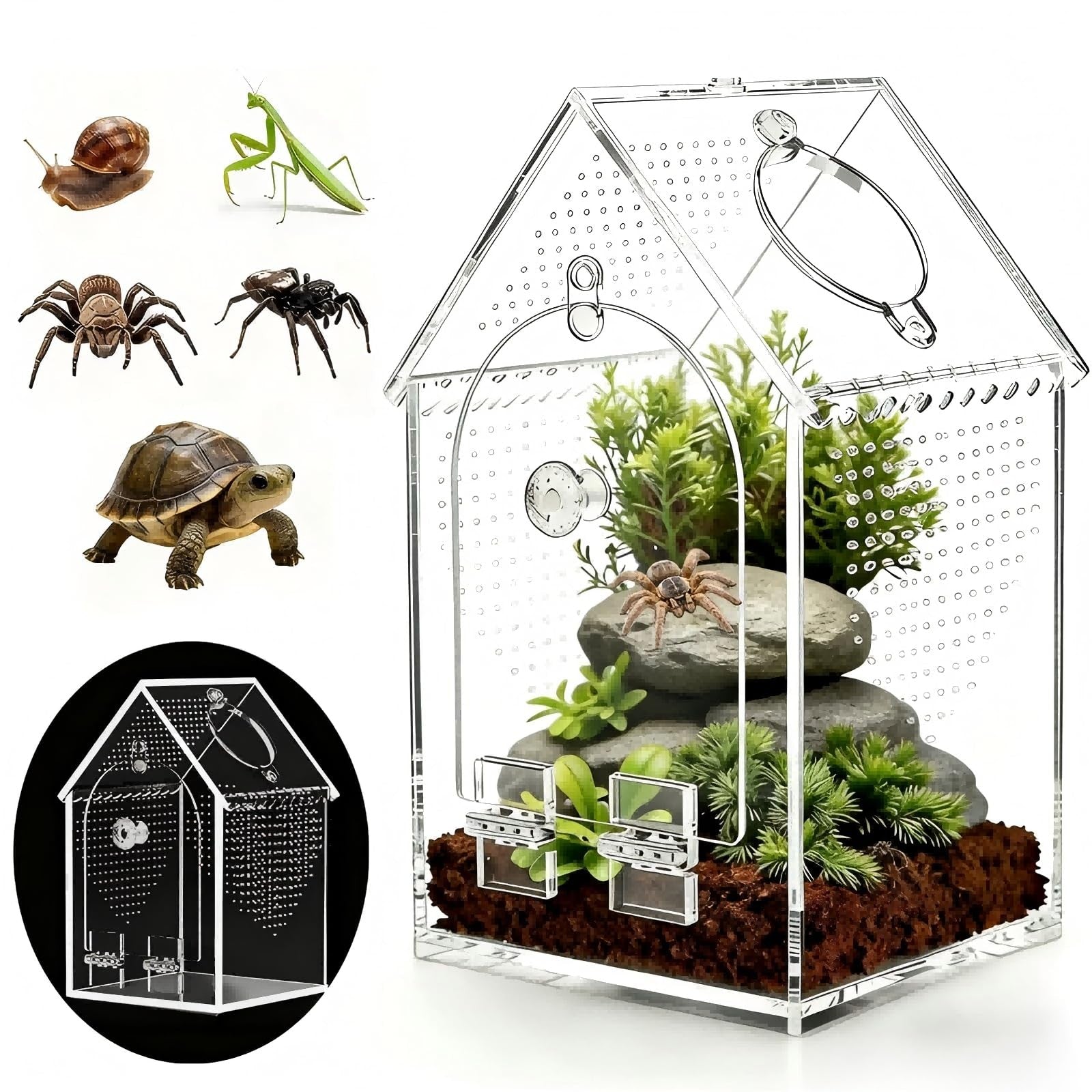 Jumping Spider Enclosure Kit Preassembled 8X5X5 Inch Acrylic Tarantula Tank