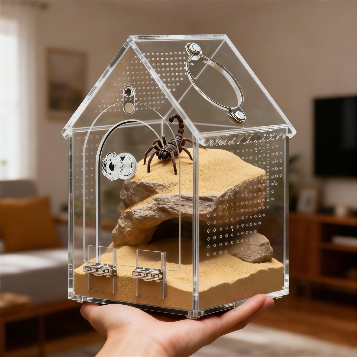 Jumping Spider Enclosure Kit Preassembled 8X5X5 Inch Acrylic Tarantula Tank