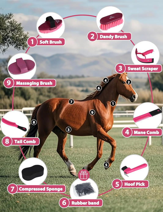 8-piece horse grooming kit including soft brush, dandy brush, sweat scraper, combs, hoof pick, and sponge for complete equine care.