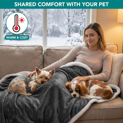 Petami Waterproof Dog Blanket for Small Dog Puppy Cat, 29X40, Charcoal | 460 GSM Sherpa Fleece Reversible, Pee Proof Pet Blanket, Furniture Protector Cover for Couch Sofa Kennel, Washable