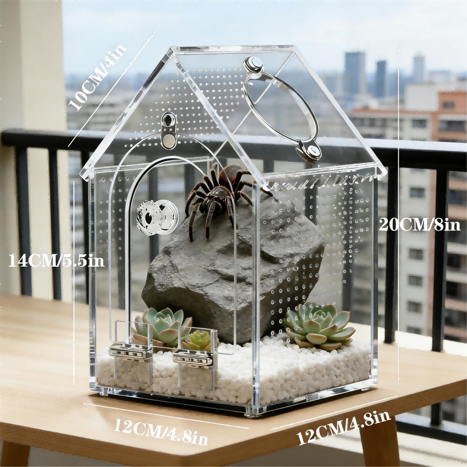 Jumping Spider Enclosure Kit Preassembled 8X5X5 Inch Acrylic Tarantula Tank