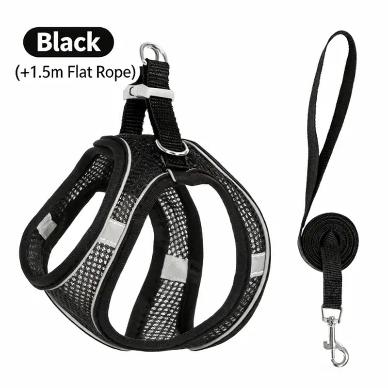 Keep Your Furry Friend Safe on Adventures! 🐾✨ Check Out Our Adjustable Pet Safety Belt & Strap Set - Perfect for Travel, Training & Hiking! 🌍🐶 #PetSafety #AdventurePaws