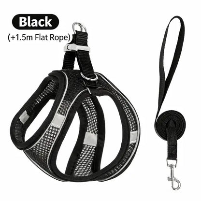 Keep Your Furry Friend Safe on Adventures! 🐾✨ Check Out Our Adjustable Pet Safety Belt & Strap Set - Perfect for Travel, Training & Hiking! 🌍🐶 #PetSafety #AdventurePaws