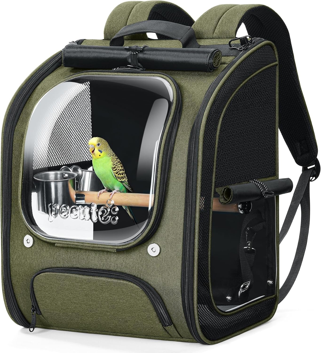 Pecute Bird Backpack Carrier with Standing Perch for Small Parrot, Green