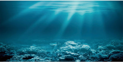 36X20 in Undersea Aquarium Backdrop Underwater World Fish Tank Background | AWERT Sunshine Seabed Blue Coral Terrarium Background Vinyl