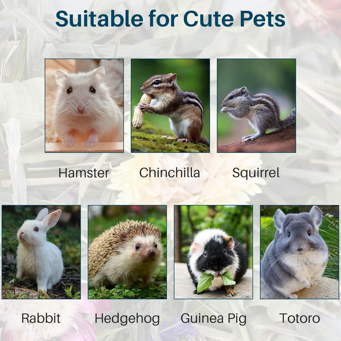 RAINFLOW Hamster Bedding - 150G Hamster Flowers & Herbs | Natural Habitat Decor and Forage for Dwarf Hamsters, Chinchillas, Guinea Pigs, Rabbits, Gerbils, Mice, Lemmings