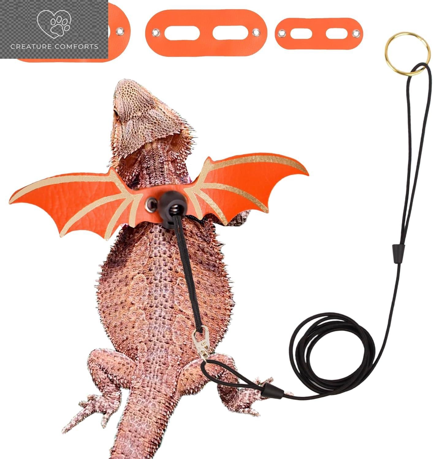 Black Bearded Dragon Bat Wing Harness & Leash Set - 3-Size Multi-Size Pack, Cool Look Soft Leather, Removable Leash for Reptile Lizard Outdoor Walks
