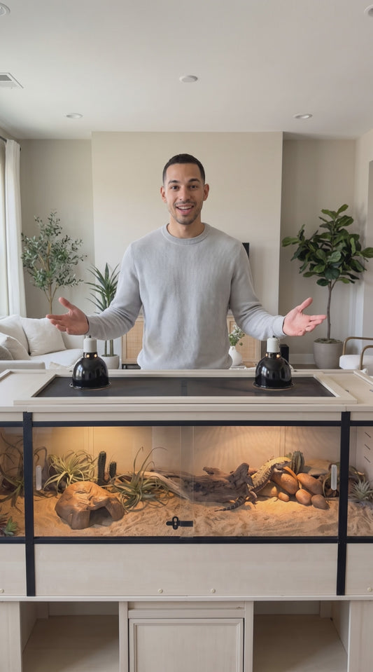 New Age Pet ECOFLEX 60" Wide X-Large Reptile Habitat, Mojave Lounge for Snakes, Tortoises & Lizards in Maple, Black & Grey, Easy Assembly, Sliding Glass Doors & Mesh Top