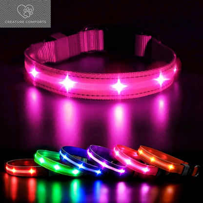 MASBRILL Led Dog Collar - Rechargeable, Water-Resistant, Flashing, Glowing Night Walking Collar