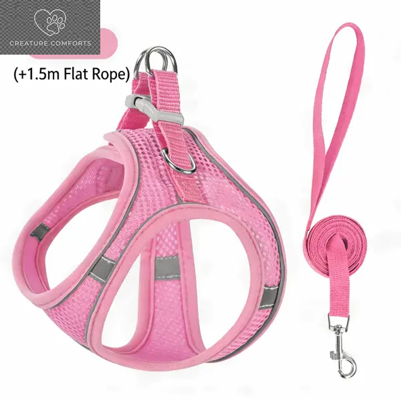Keep Your Furry Friend Safe on Adventures! 🐾✨ Check Out Our Adjustable Pet Safety Belt & Strap Set - Perfect for Travel, Training & Hiking! 🌍🐶 #PetSafety #AdventurePaws