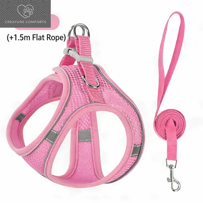 Keep Your Furry Friend Safe on Adventures! 🐾✨ Check Out Our Adjustable Pet Safety Belt & Strap Set - Perfect for Travel, Training & Hiking! 🌍🐶 #PetSafety #AdventurePaws