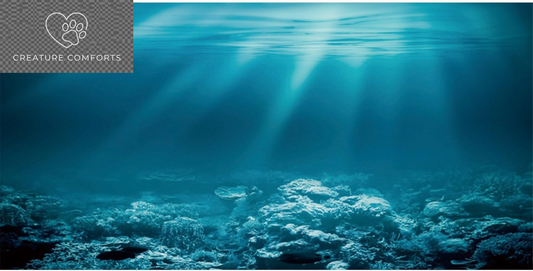 36X20 in Undersea Aquarium Backdrop Underwater World Fish Tank Background | AWERT Sunshine Seabed Blue Coral Terrarium Background Vinyl