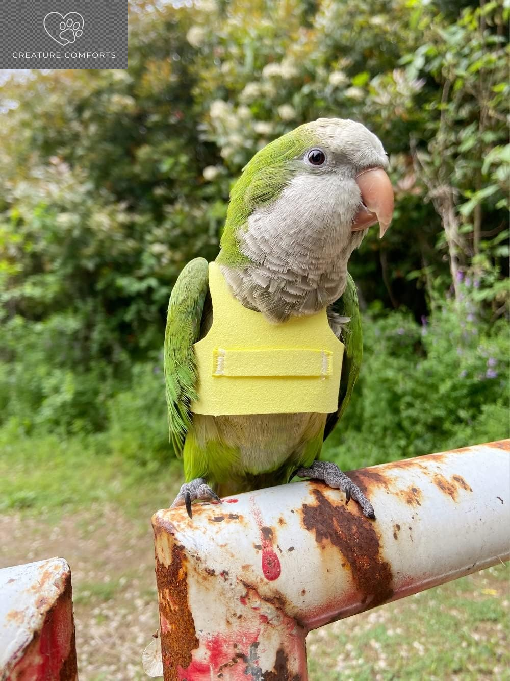 Bird Flight Harness Vest, Parrot Flight Suit with Leash for Parakeets Cockatiels Conures Budgies, Bird Flying Clothes with Rope and Handle for Outdoor Activities Training, anti Bite (L, Yellow)