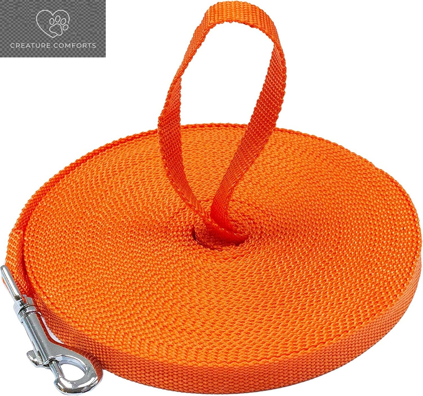 Downtown Pet Supply - Long Dog Training Leash for Recall & Obedience - Nylon, 30 Ft, Hunter Green