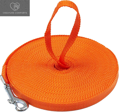 Downtown Pet Supply - Long Dog Training Leash for Recall & Obedience - Nylon, 30 Ft, Hunter Green