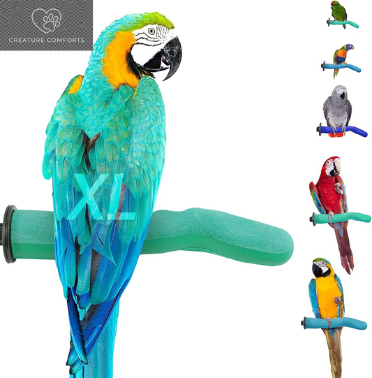 Sweet Feet and Beak Safety Pumice Bird Perch, X-Large Pedicure Perch, Green | Plastic Bird Nail Trimming Perch, Pumice Coated Surface for Healthy Feet and Beak, 13.5" Perch, Available in 5 Sizes