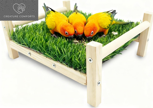 Delight Your Feathered Friends with the Ultimate Bird Foraging Toy Bed – Perfect for Parakeets, Cockatiels, and Lovebirds!