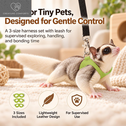 3 Pack Sugar Glider Harness and Leash Set Small Animal Training Walking Vest for Squirrel Hamster Rat-Green