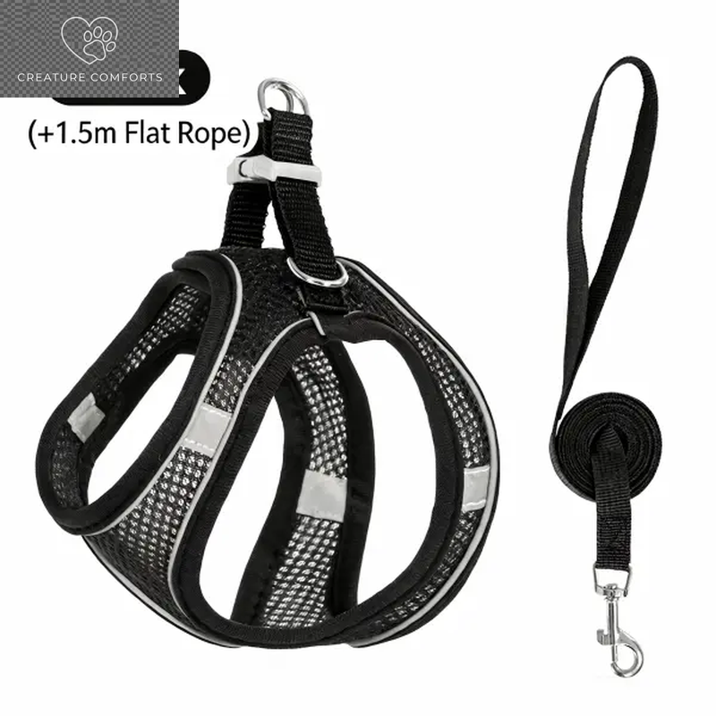 Keep Your Furry Friend Safe on Adventures! 🐾✨ Check Out Our Adjustable Pet Safety Belt & Strap Set - Perfect for Travel, Training & Hiking! 🌍🐶 #PetSafety #AdventurePaws