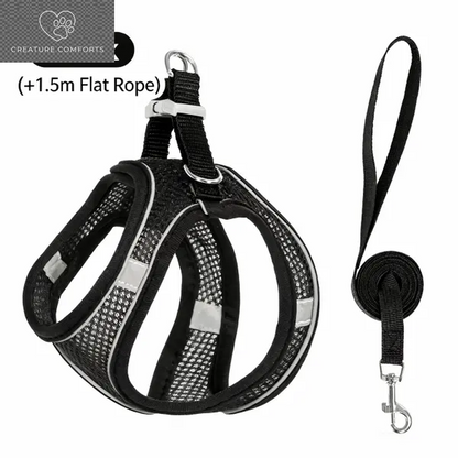 Keep Your Furry Friend Safe on Adventures! 🐾✨ Check Out Our Adjustable Pet Safety Belt & Strap Set - Perfect for Travel, Training & Hiking! 🌍🐶 #PetSafety #AdventurePaws
