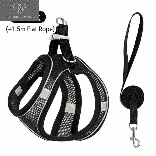 Keep Your Furry Friend Safe on Adventures! 🐾✨ Check Out Our Adjustable Pet Safety Belt & Strap Set - Perfect for Travel, Training & Hiking! 🌍🐶 #PetSafety #AdventurePaws