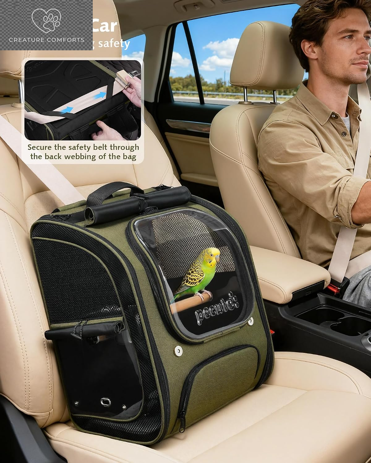 Pecute Bird Backpack Carrier with Standing Perch for Small Parrot, Green