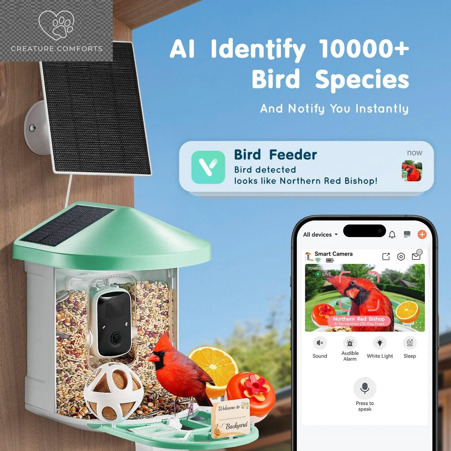 Discover the Ultimate Gift for Bird Lovers: Vevor Smart Bird Feeder Camera with Solar Power, Live Video & AI Features! 🌞🐦📹 #BirdWatching #TechGifts #SummerFinds