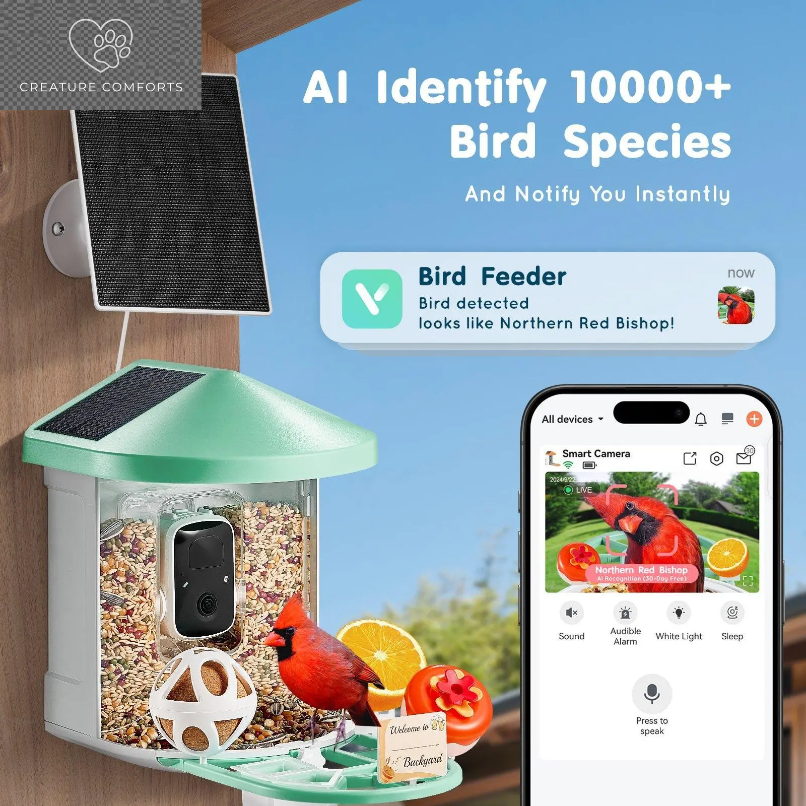 Discover the Ultimate Gift for Bird Lovers: Vevor Smart Bird Feeder Camera with Solar Power, Live Video & AI Features! 🌞🐦📹 #BirdWatching #TechGifts #SummerFinds
