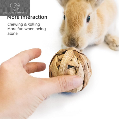Andwe Small Animal Chew Balls - Fun Activity Pack of 8 for Rabbits, Guinea Pigs, and More | Engaging Indoor Playtime for Your Furry Friends