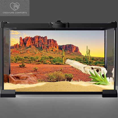 AWERT 48X24 Inches Reptile Habitat Background Sky Oasis Mountain Cactus Sun and Desert Terrarium Background Durable Polyester Background