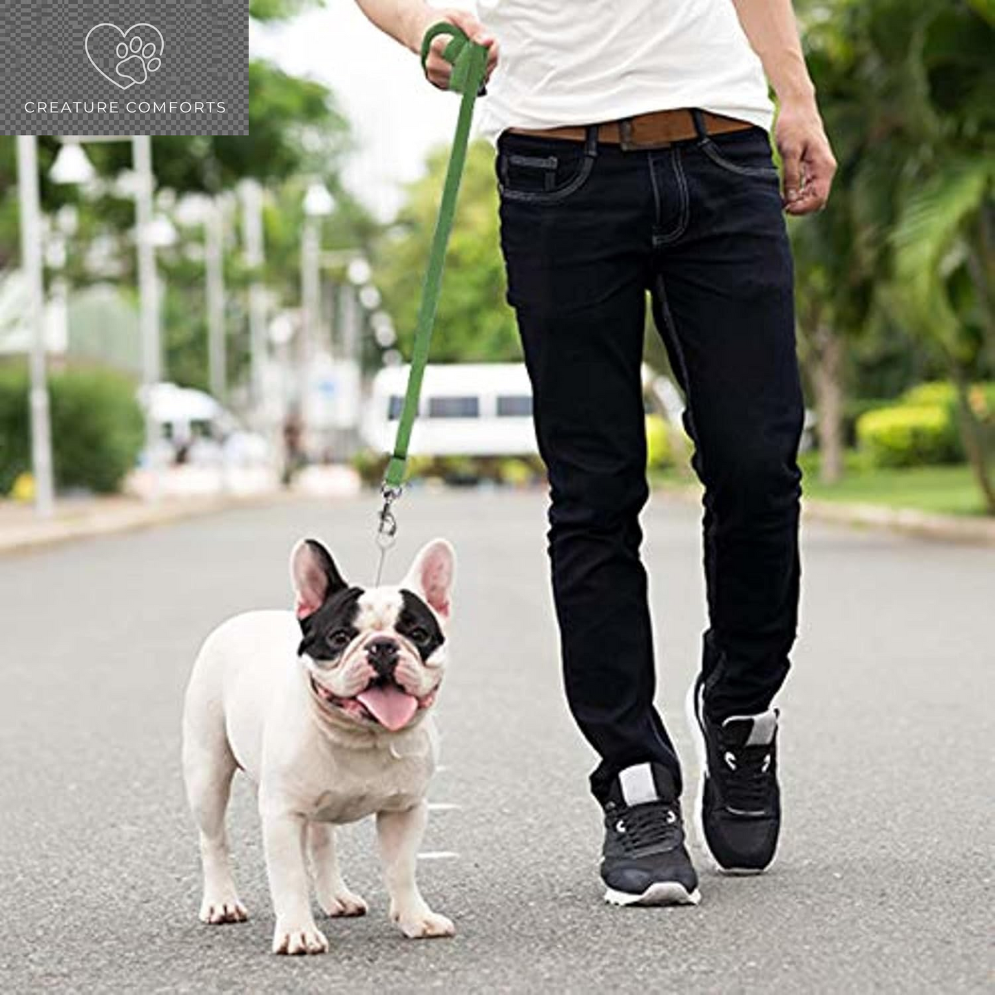 Downtown Pet Supply - Long Dog Training Leash for Recall & Obedience - Nylon, 30 Ft, Hunter Green