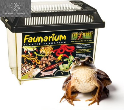 Exo Terra Faunarium, Plastic Reptile Terrarium, Medium, PT2260