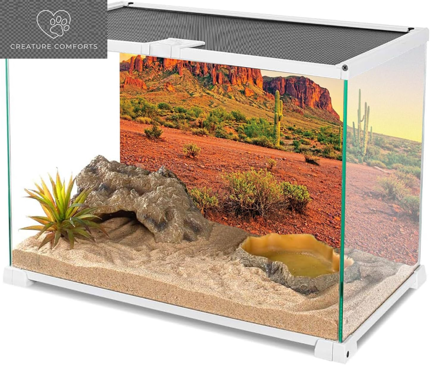 AWERT 48X24 Inches Reptile Habitat Background Sky Oasis Mountain Cactus Sun and Desert Terrarium Background Durable Polyester Background