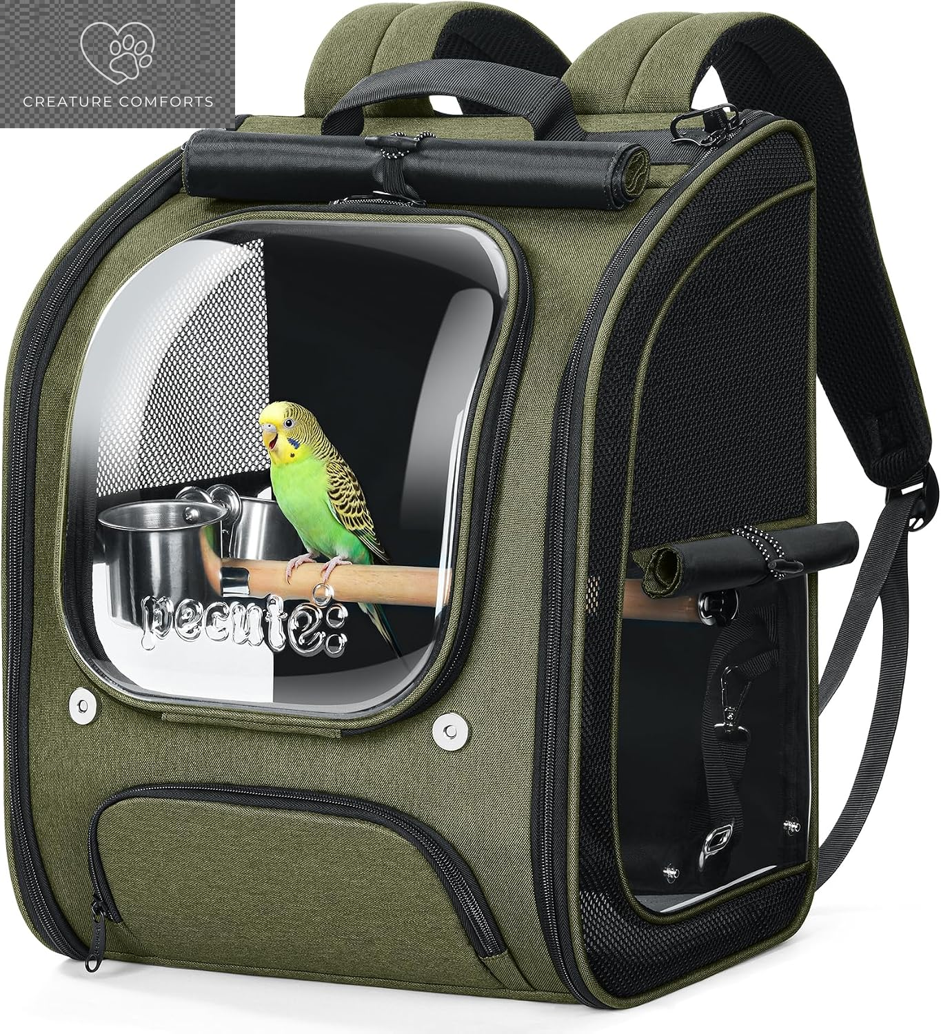 Pecute Bird Backpack Carrier with Standing Perch for Small Parrot, Green