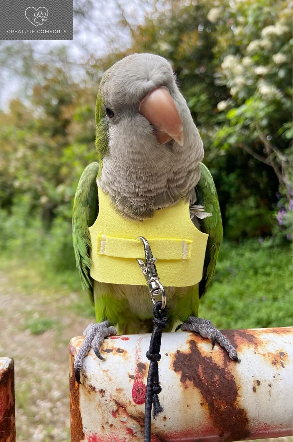 Bird Flight Harness Vest, Parrot Flight Suit with Leash for Parakeets Cockatiels Conures Budgies, Bird Flying Clothes with Rope and Handle for Outdoor Activities Training, anti Bite (L, Yellow)