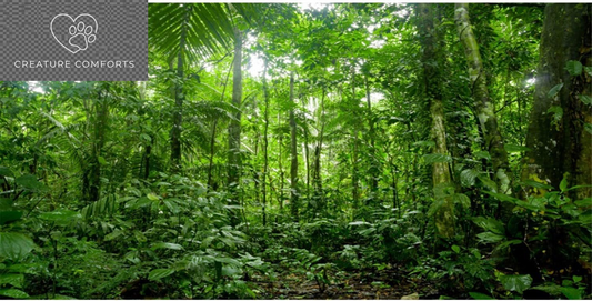 AWERT 48X18 Inches Terrarium Background Tropical Aquarium Background Green Huge Tree Rainforest Reptile Habitat Background Durable Polyester Background