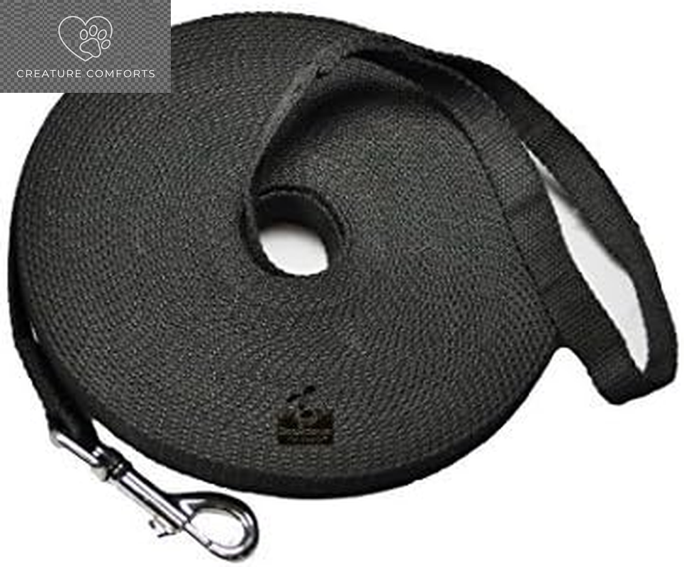 Downtown Pet Supply - Long Dog Training Leash for Recall & Obedience - Nylon, 30 Ft, Hunter Green