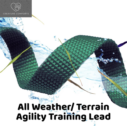Downtown Pet Supply - Long Dog Training Leash for Recall & Obedience - Nylon, 30 Ft, Hunter Green