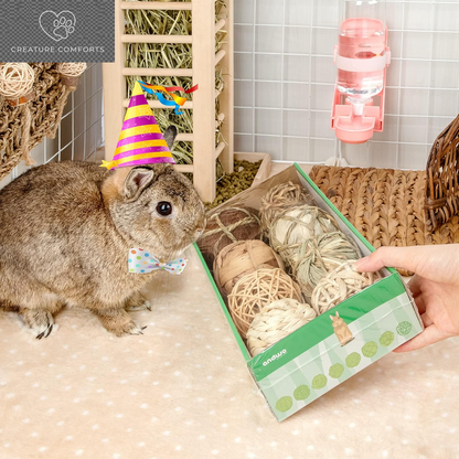 Andwe Small Animal Chew Balls - Fun Activity Pack of 8 for Rabbits, Guinea Pigs, and More | Engaging Indoor Playtime for Your Furry Friends