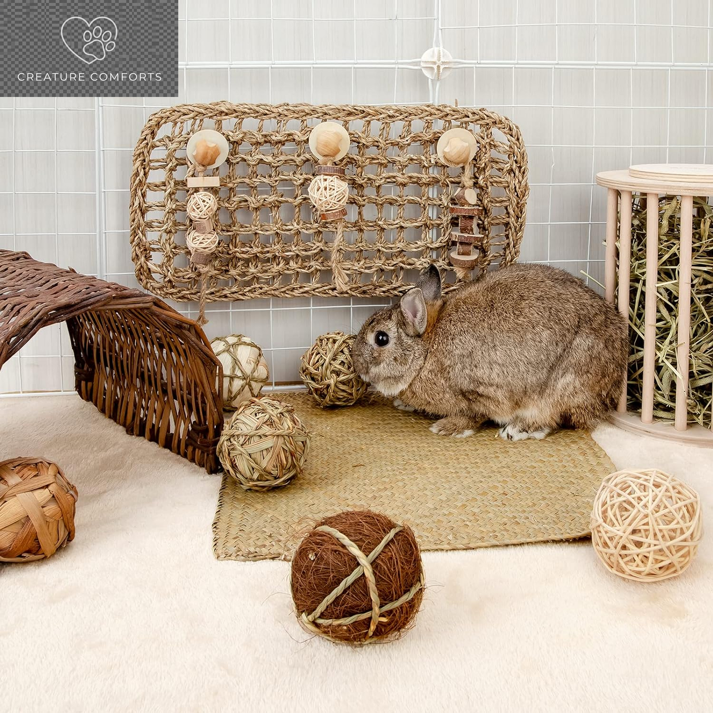 Andwe Small Animal Chew Balls - Fun Activity Pack of 8 for Rabbits, Guinea Pigs, and More | Engaging Indoor Playtime for Your Furry Friends