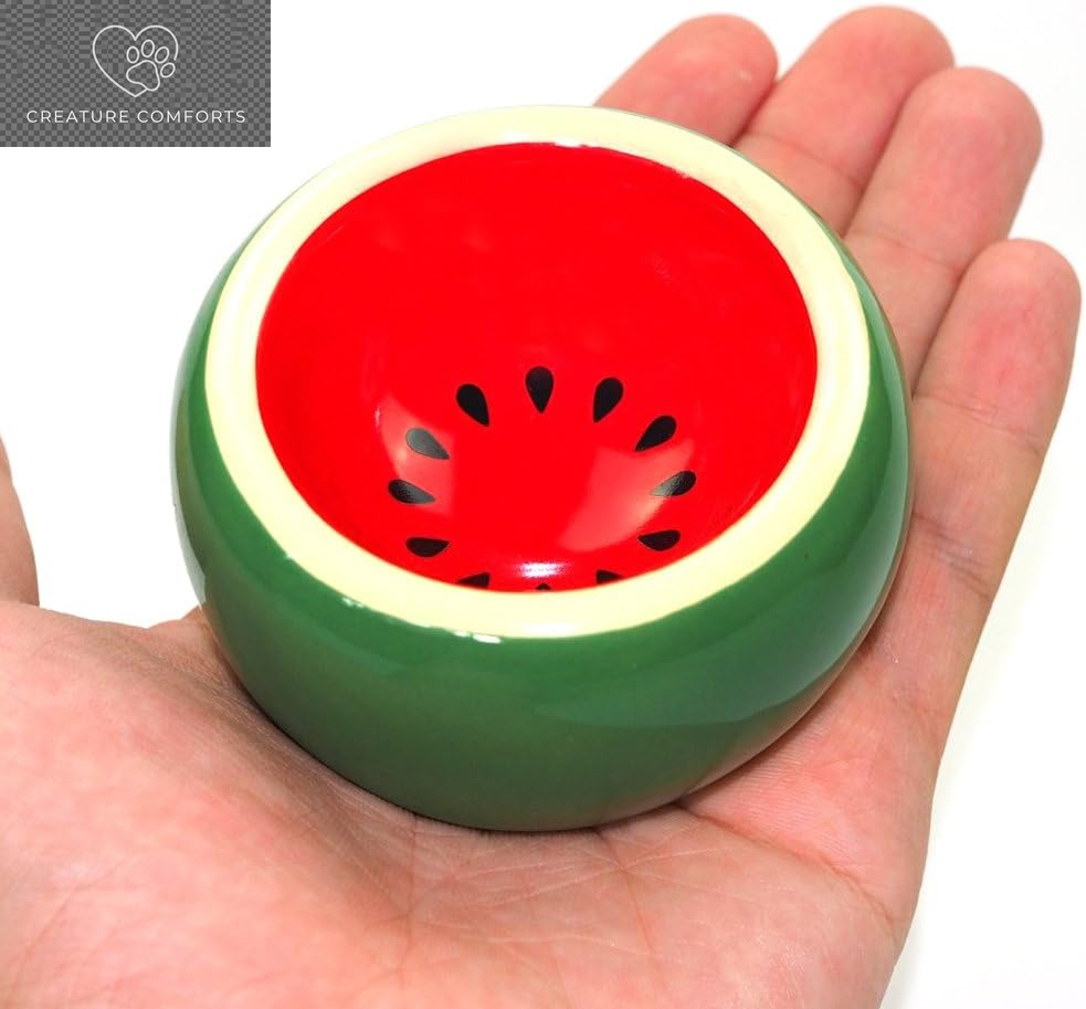 Hamster Food Bowl Ceramic Prevent Being Tipped over Small Animal Water Dish for Guinea Pig Rodent Gerbil Cavy Hedgehog Feeding Bowl (Watermelon)