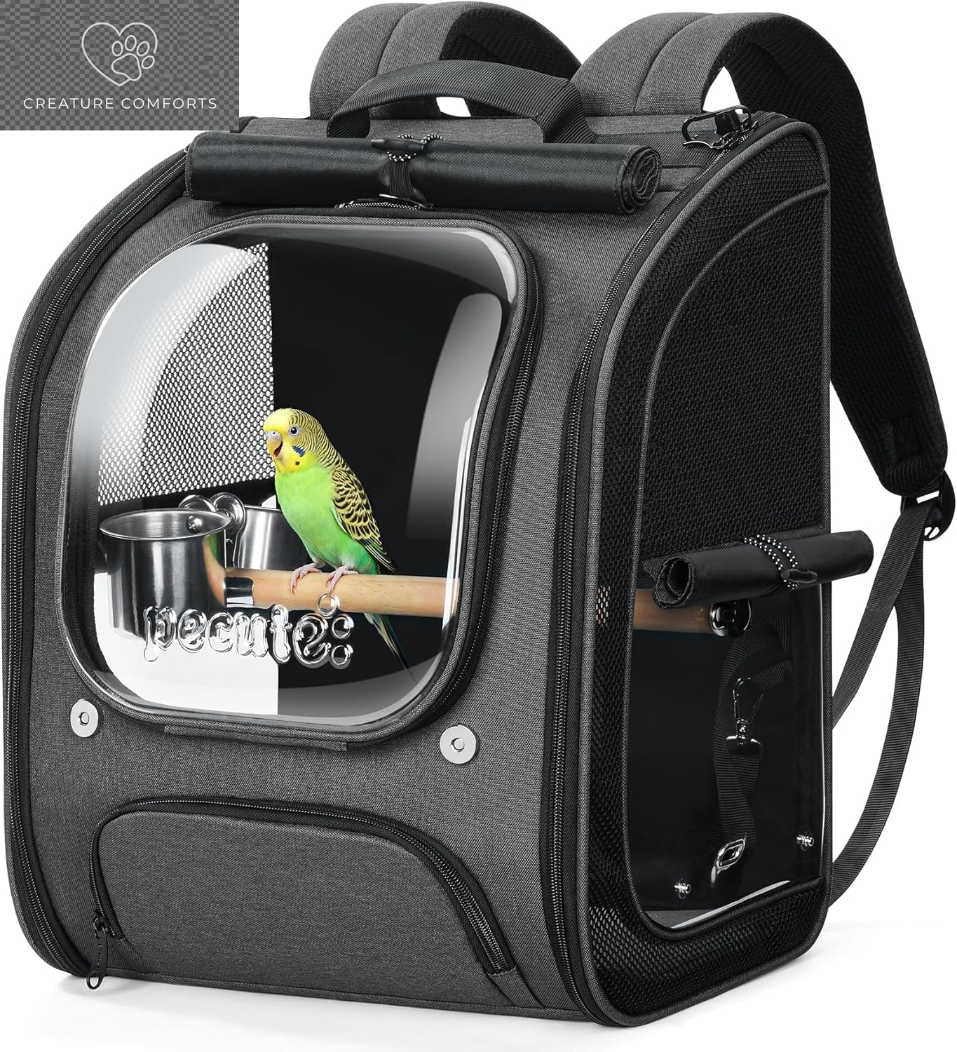 Pecute Bird Backpack Carrier with Standing Perch for Small Parrot, Green