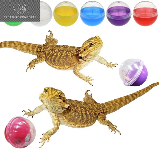 Engaging Interactive Feeding Toy Balls for Bearded Dragons, Lizards, and Small Animals - 6 Colorful Translucent Balls by Vehomy