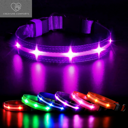 MASBRILL Led Dog Collar - Rechargeable, Water-Resistant, Flashing, Glowing Night Walking Collar