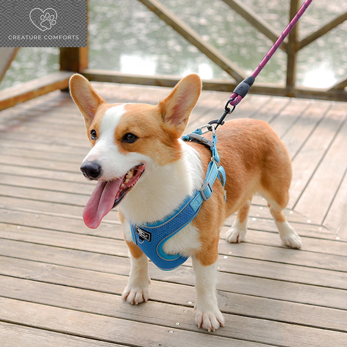 Durable Dog Leash, 5 FT/6 FT, 1/2", Padded Handle Nylon Dog Reflective Leash for Small Medium & Large Dogs Walking(6 Ft, Purple)
